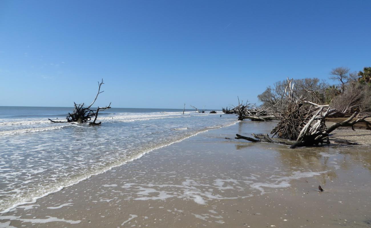 Photo of Driftwood beach with gray sand surface