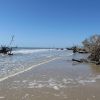 Driftwood beach