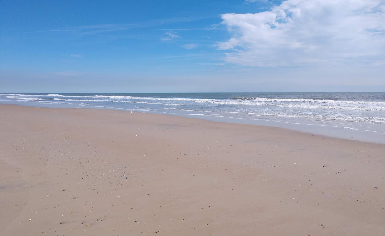 Photo of Sea Haven beach with bright sand surface