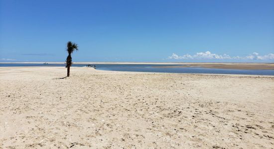 Cape Lookout beach