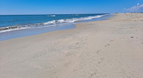 Assateague beach