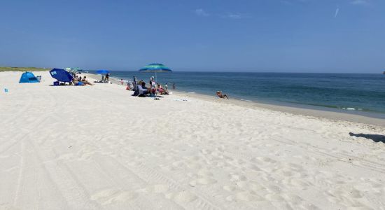 Ocean Swimming