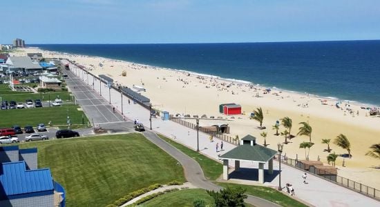 Long Branch Beach I