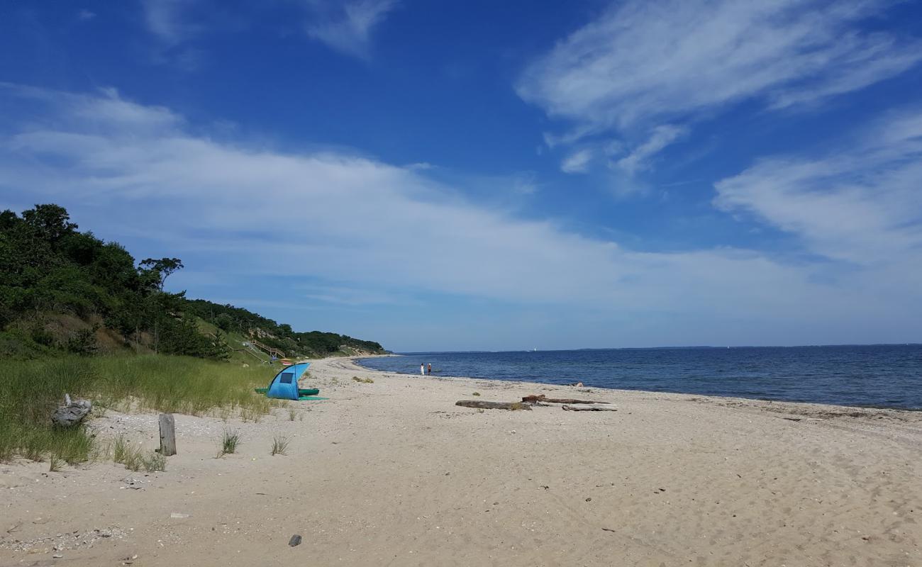 Photo of Sammys Beach with bright sand surface