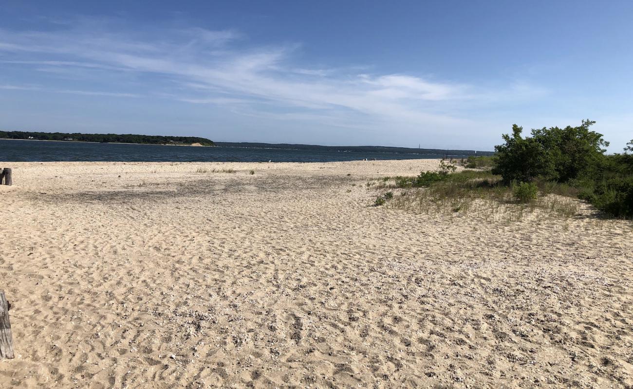 Photo of Shell Beach with light sand &  pebble surface