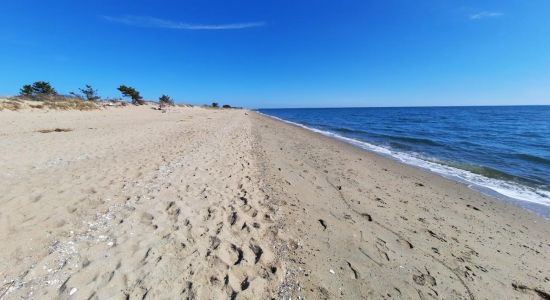 Hammonasset Beach