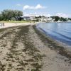 Esker Point Beach