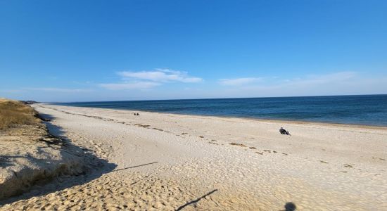 Sandy Neck beach