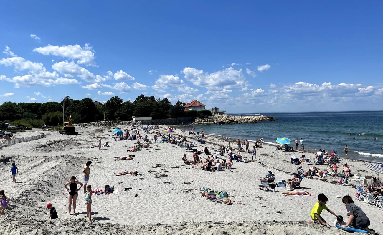 Photo of Sandy beach with bright sand surface