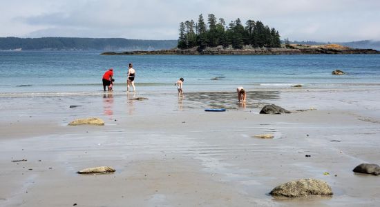 Sandy River beach