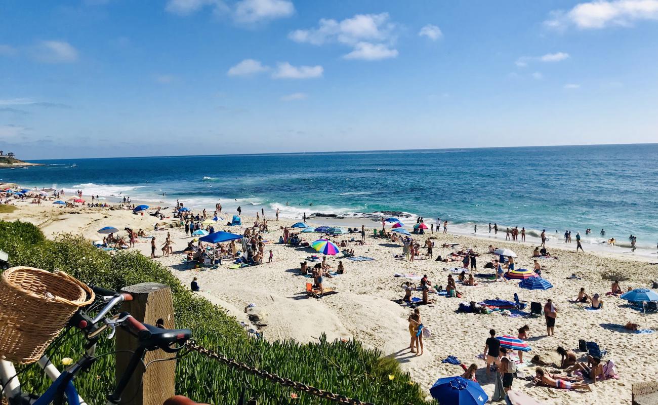 Photo of Windansea beach with bright fine sand surface