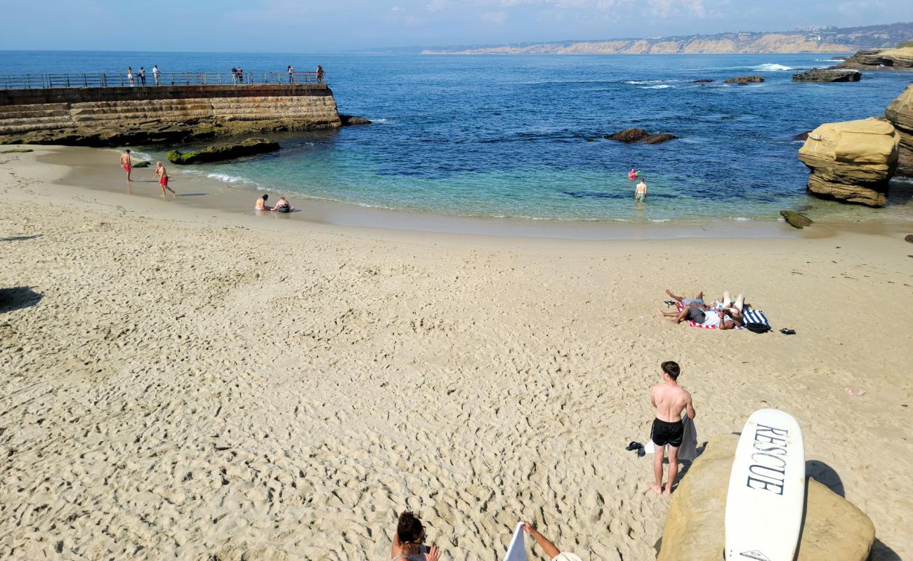 Photo of Children's Pool La Jolla with bright sand surface