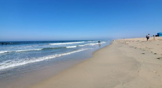 Bolsa Chica Beach