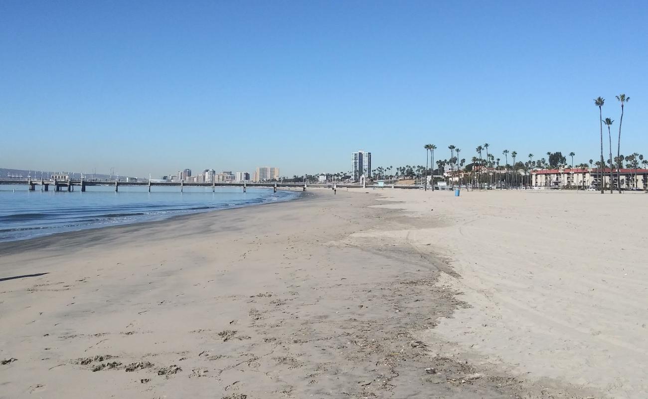 Photo of Belmont Beach with bright sand surface