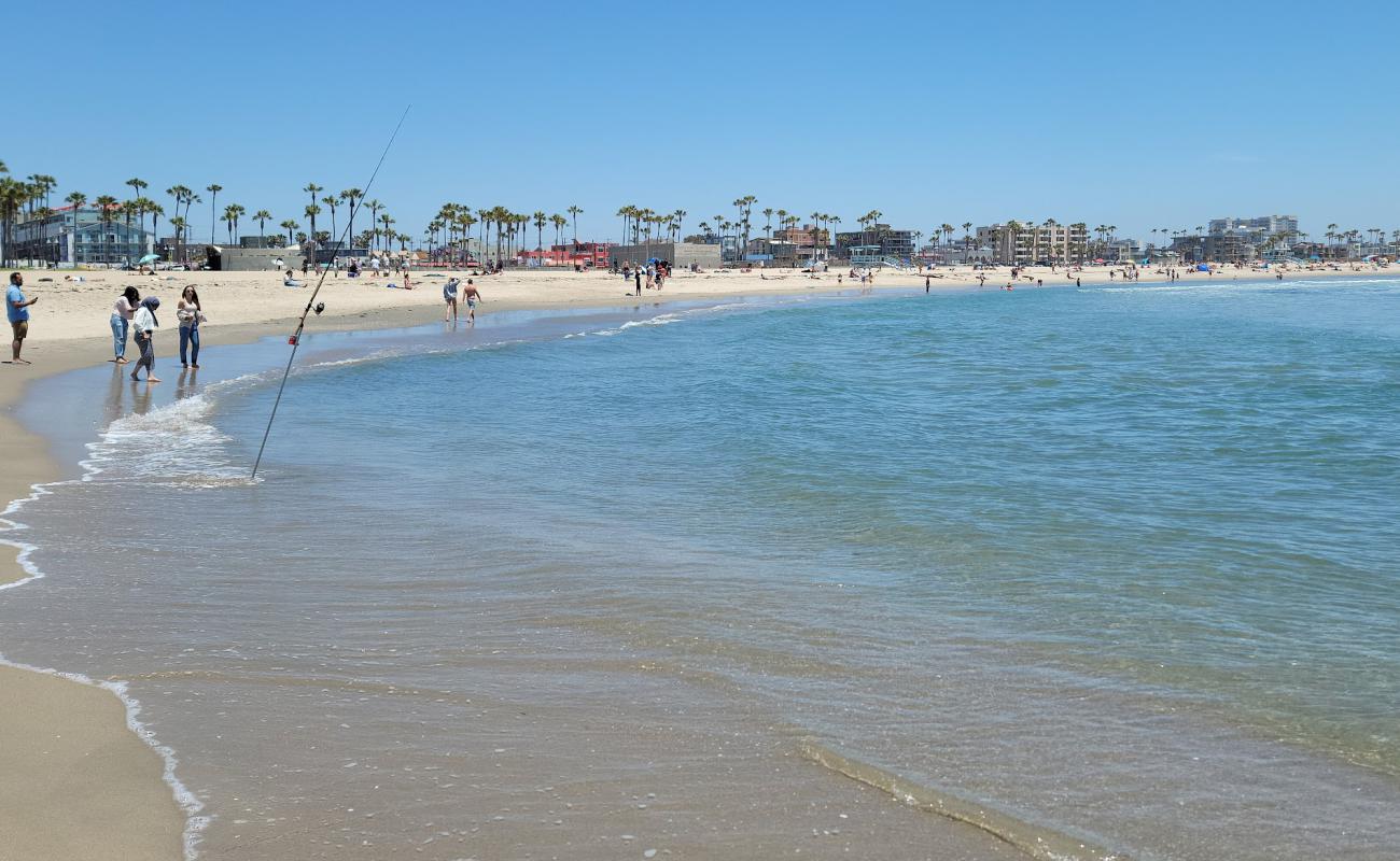 Photo of Venice Beach with bright sand surface