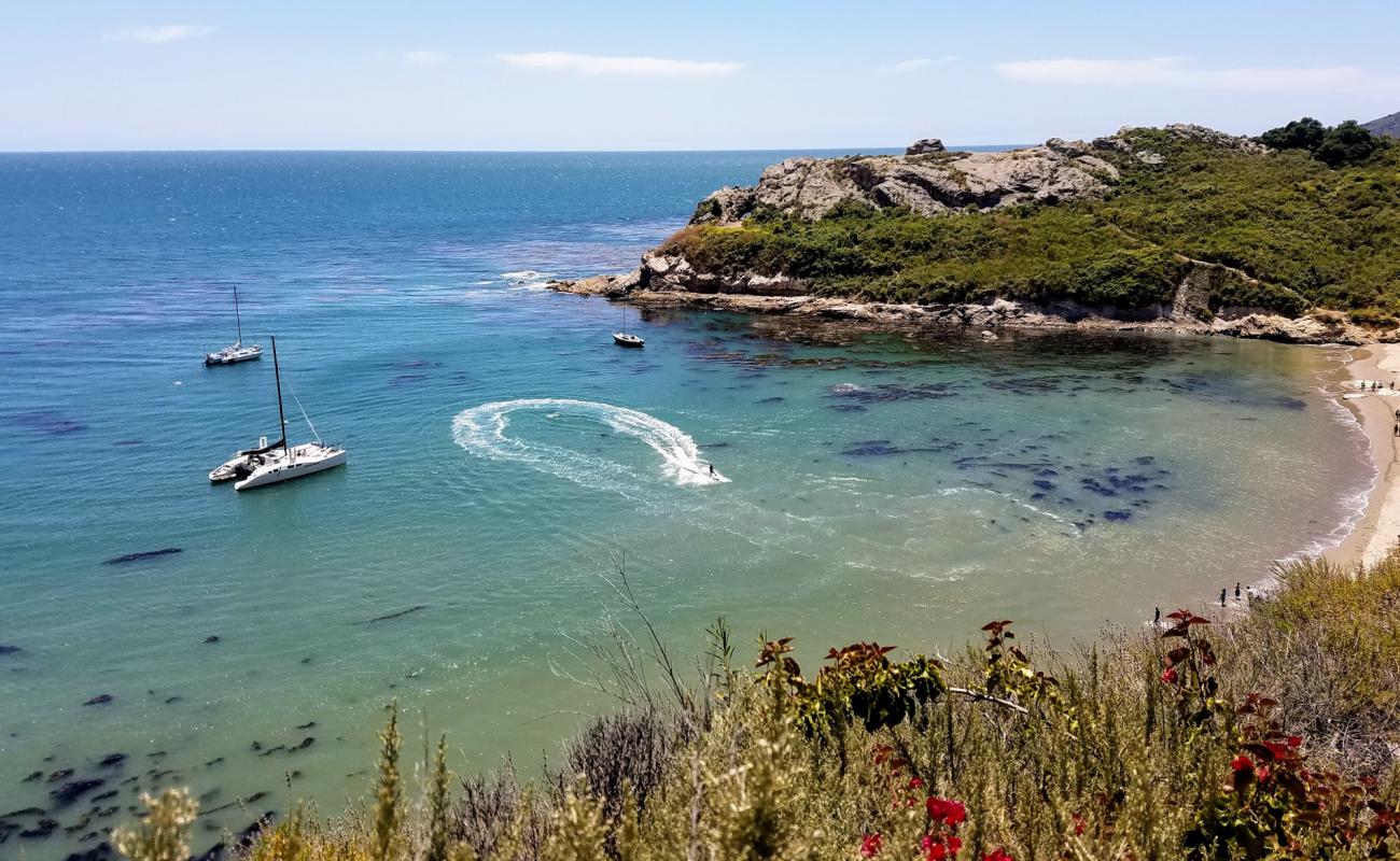 Photo of Pirates Cove Beach with bright sand & rocks surface