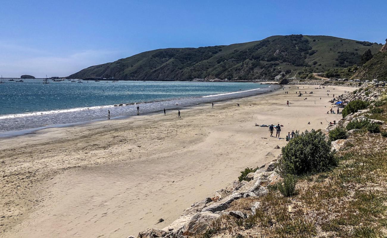 Photo of Olde Port Beach with bright sand surface