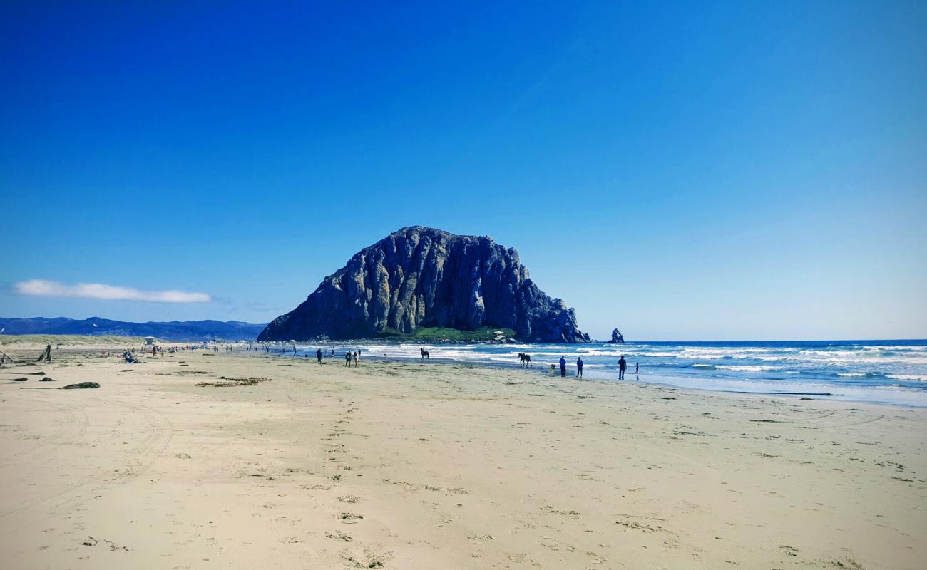 Photo of Morro Bay Beach with bright sand surface