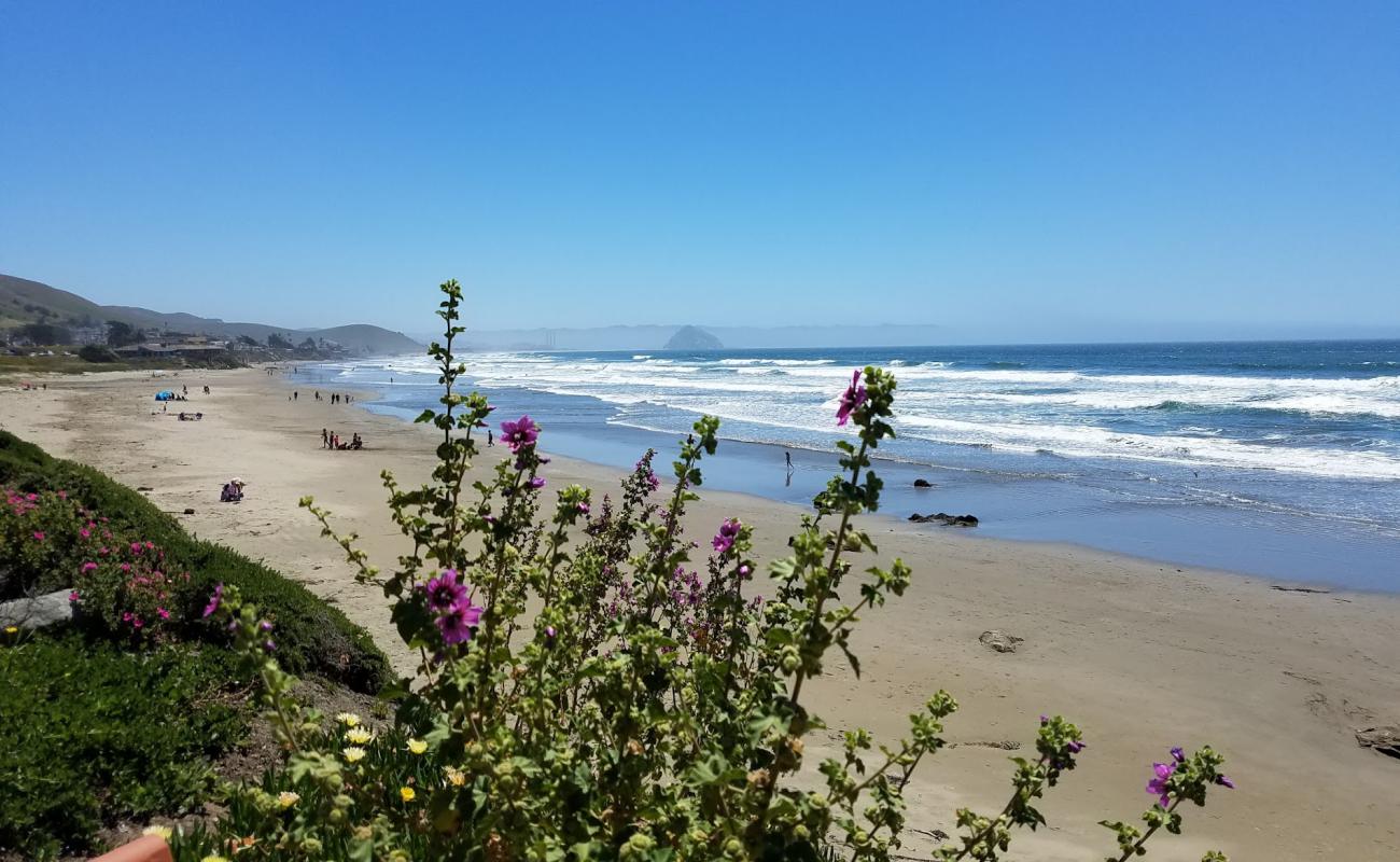 Photo of Morro Strand Beach - popular place among relax connoisseurs