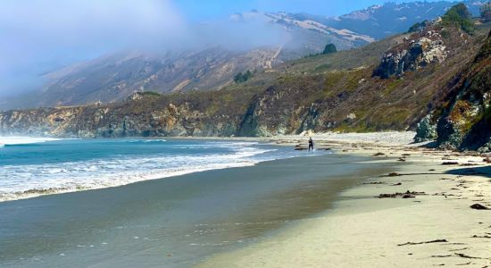 Sand Dollar Beach