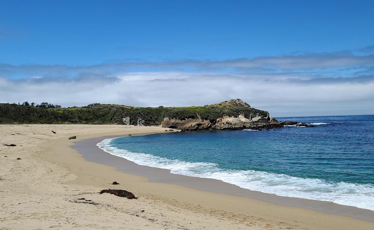 Photo of Monastery Beach with bright sand surface