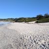 Carmel Beach