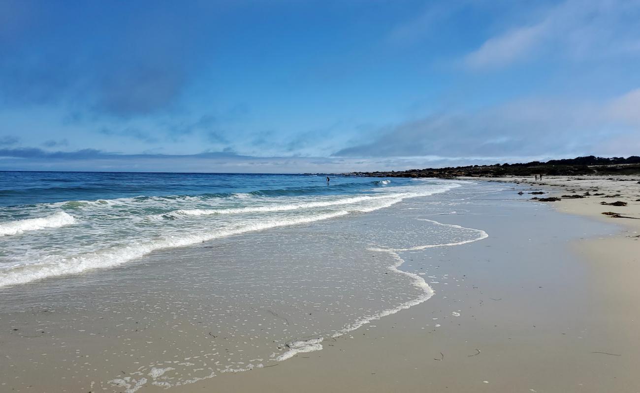 Photo of Moss Beach with bright sand surface