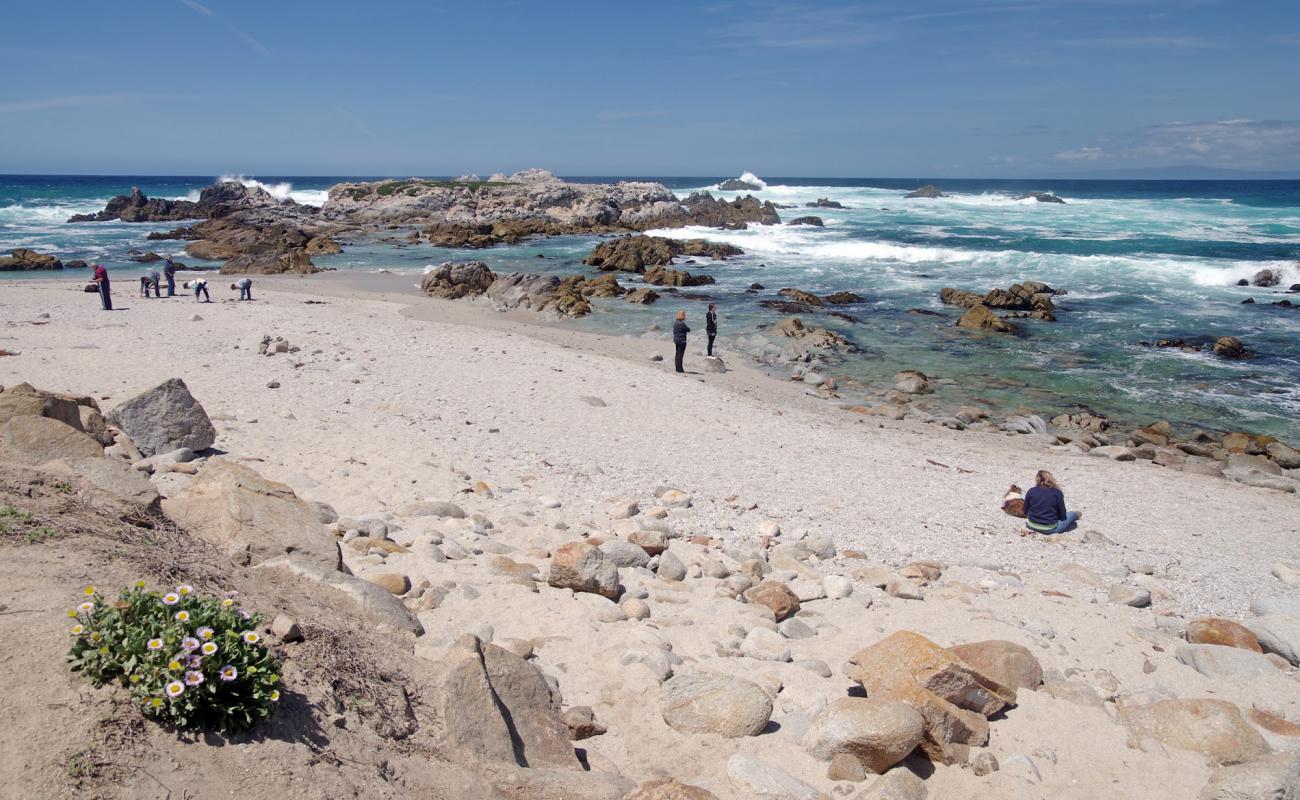 Photo of Point Pinos beach with bright sand & rocks surface