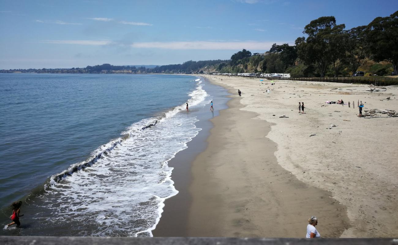 Photo of Seacliff Beach with bright sand surface