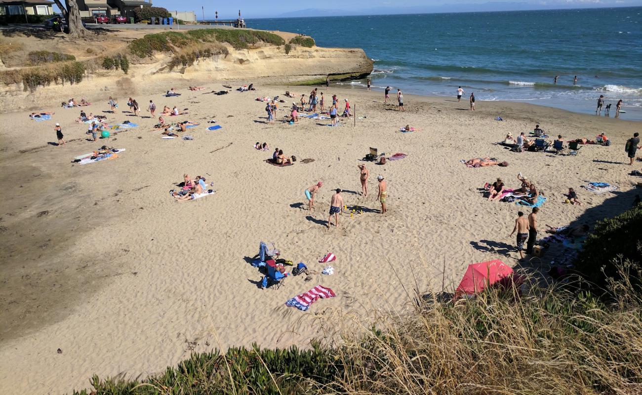 Photo of Sunny Cove Beach with bright fine sand surface