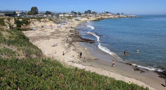 Mitchell's Cove Beach