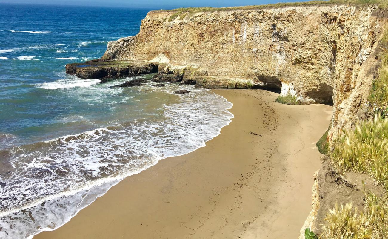 Photo of Davenport Beach with light fine pebble surface