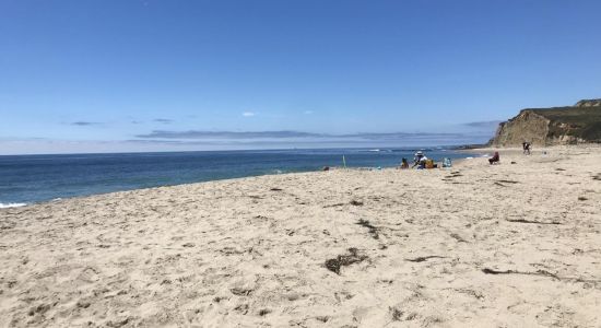 Scott Creek Beach