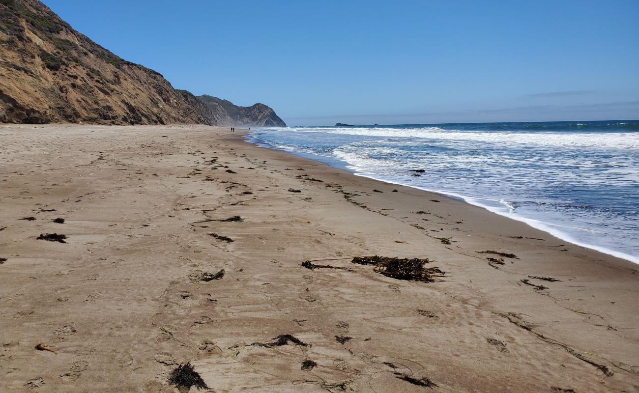 Photo of Wildcat Beach with bright sand surface