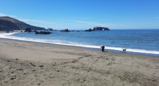 Goat Rock Beach