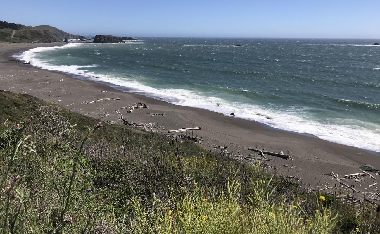 Photo of Jenner Beach with bright sand surface