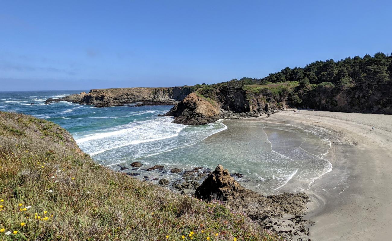 Photo of Jug Handle Beach with bright fine sand surface