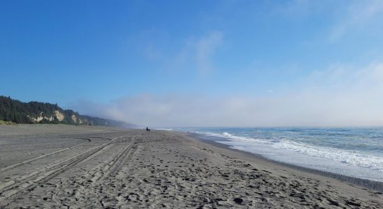 Gold Bluffs Beach