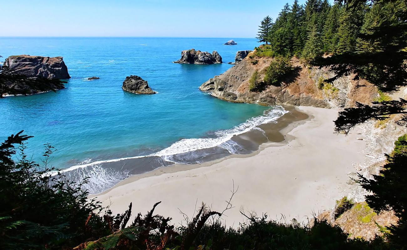 Photo of Secret Beach Oregon with gray sand surface