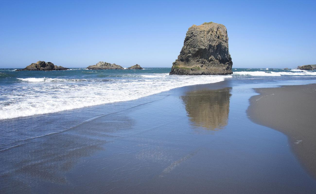 Photo of Pistol River beach with gray sand surface