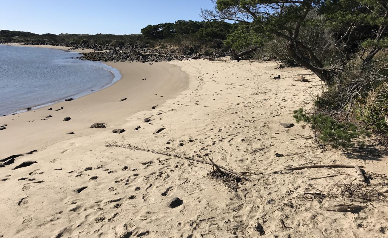 Photo of South Jetty Beach II with bright sand & rocks surface