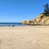 Otter Crest Beach