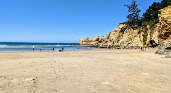 Otter Crest Beach