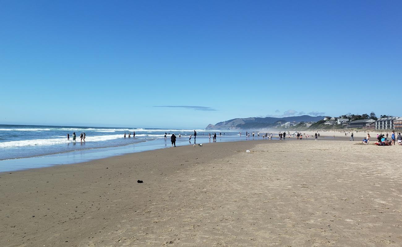 Photo of D River Beach with bright fine sand surface