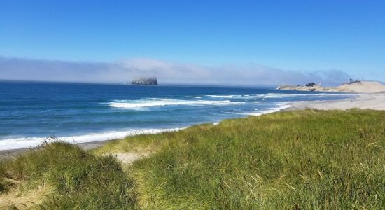 Pacific City Beach