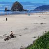 Cannon Beach