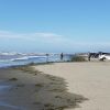 Ocean Shores Beach