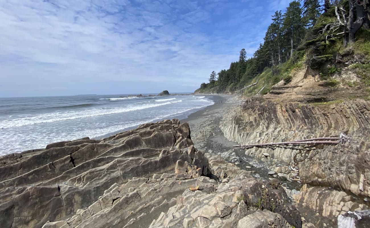 Photo of Kalaloch Beach II with gray sand &  rocks surface