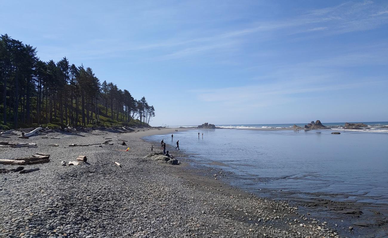 Photo of Mosquito Creek Beach with gray sand &  rocks surface