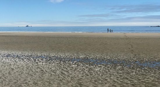 Sand Point Beach